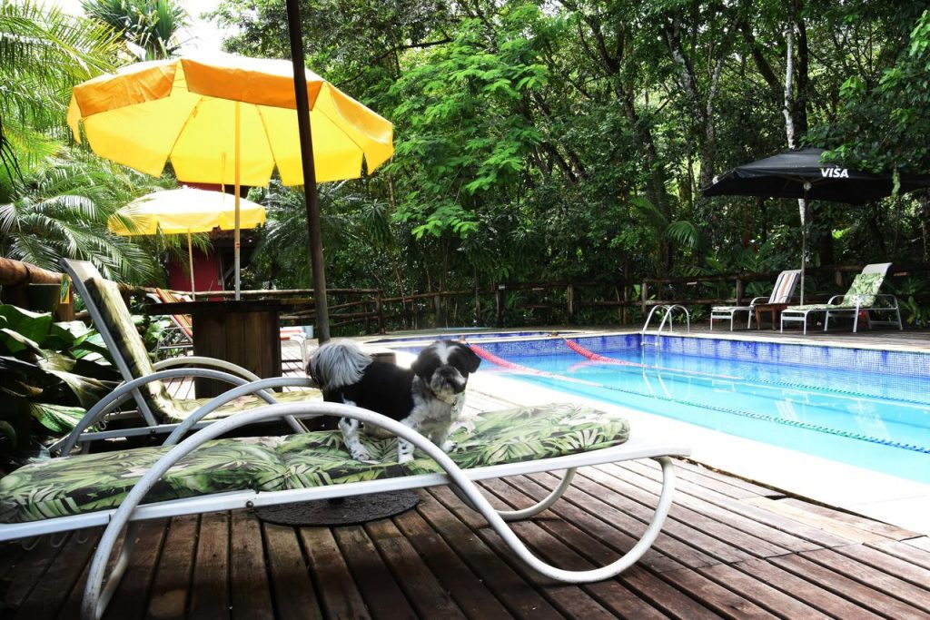 Pousadas que aceitam cachorro / Pousadas petfriendly SP