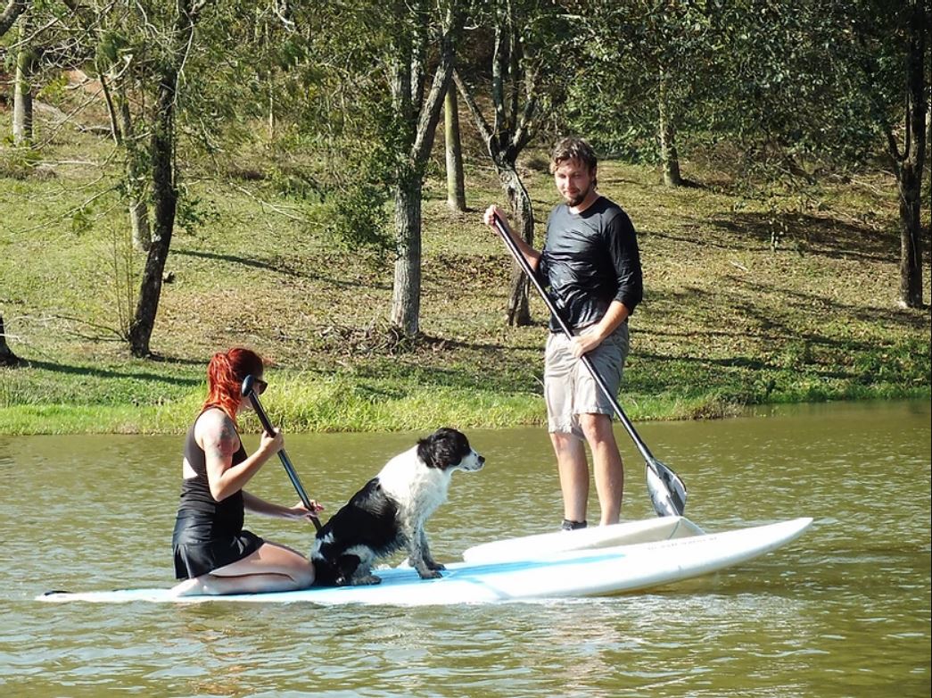 Pousadas que aceitam cachorro / Pousadas petfriendly SP