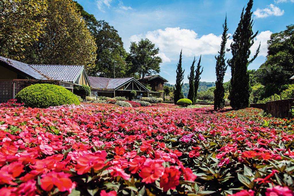 pousadas na serra da cantareira