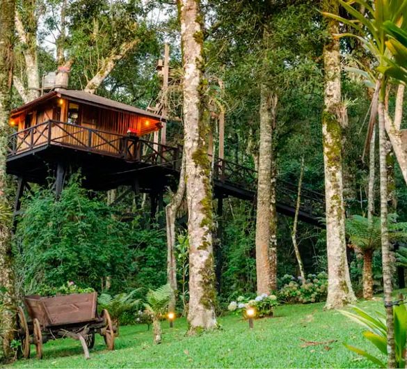 pousada de airbnb como casa da árvore em monte verde