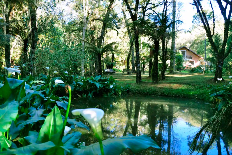 Lago em Monte Verde no Chalé Cedrus Libani