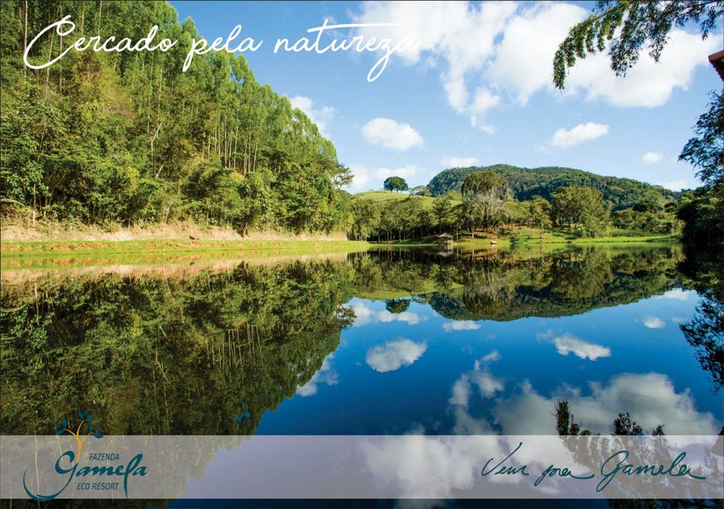 lago natureza floresta campo hotel fazenda rio