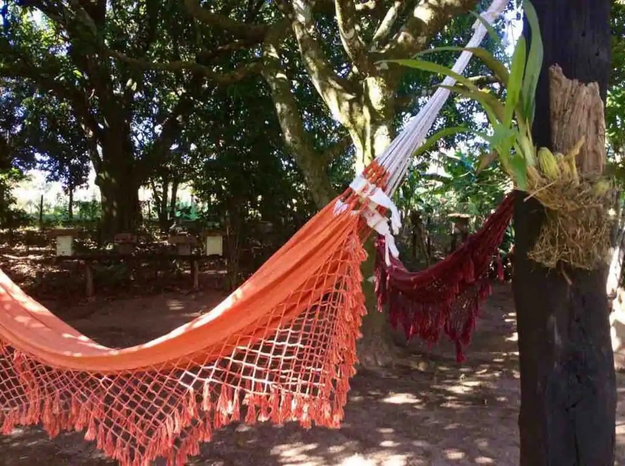 casas para alugar em brotas