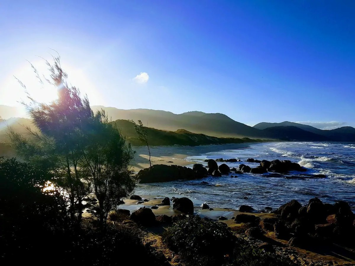 Torii-Zen-Village-Flor-de-Cerejeira