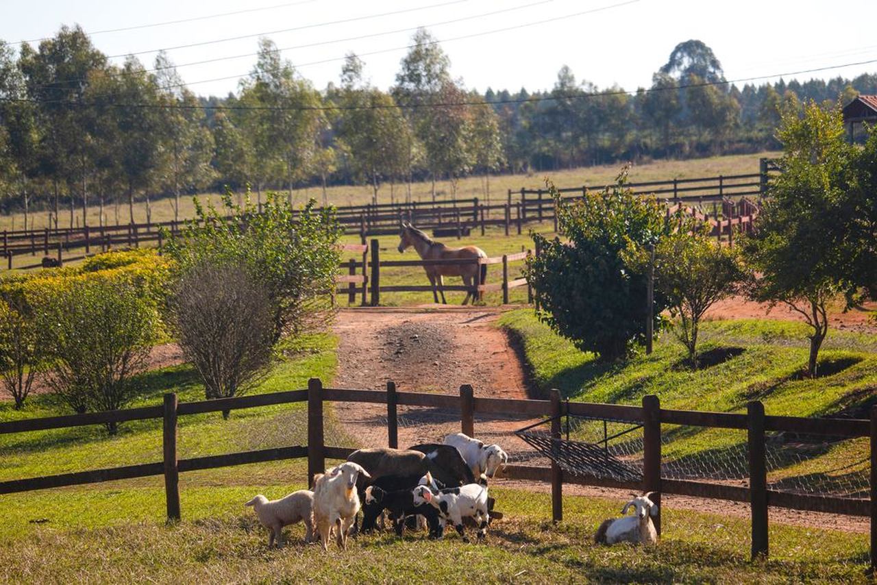 14 Hotéis fazenda no interior de São Paulo para relaxar