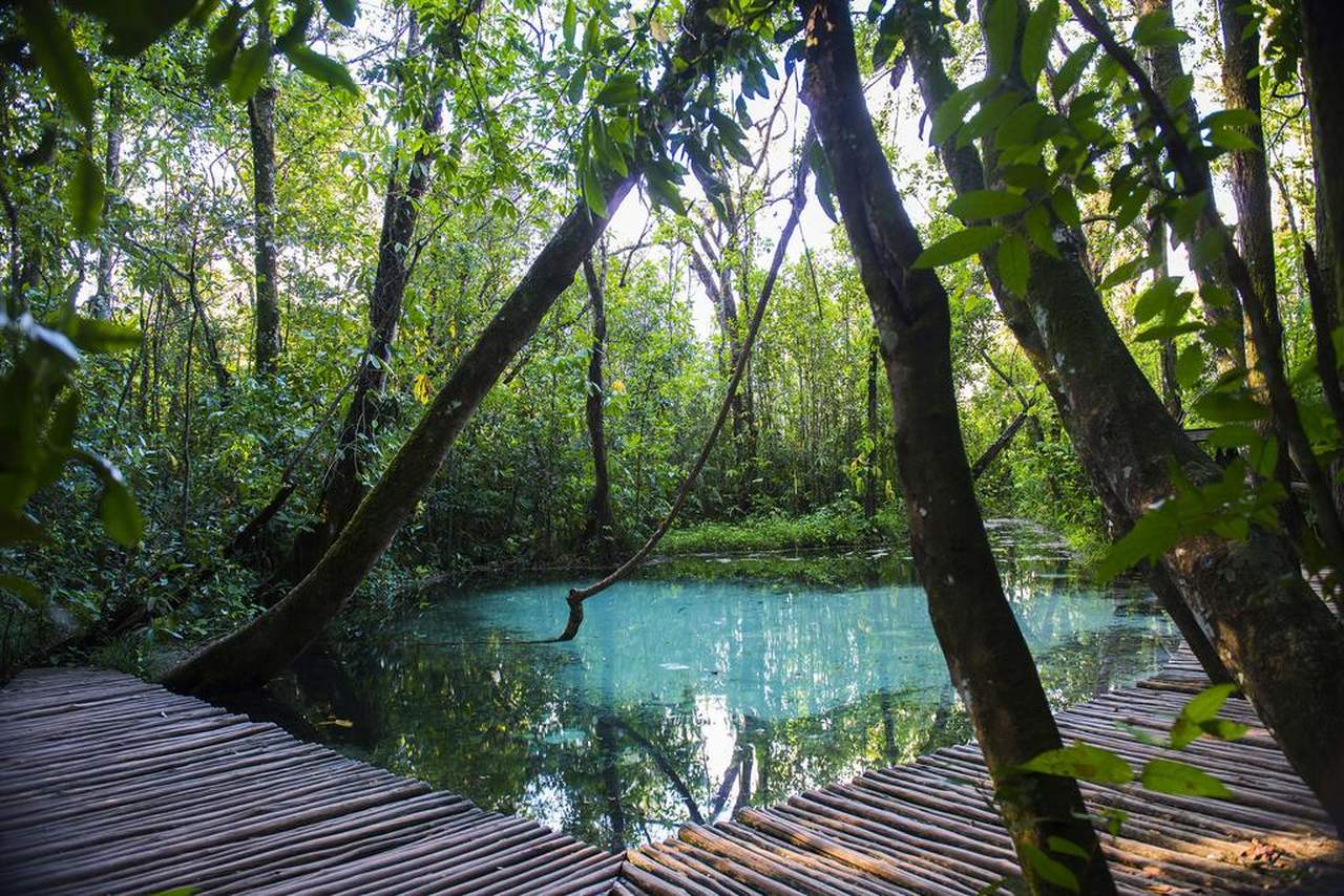 14 Hotéis fazenda no interior de São Paulo SP para relaxar