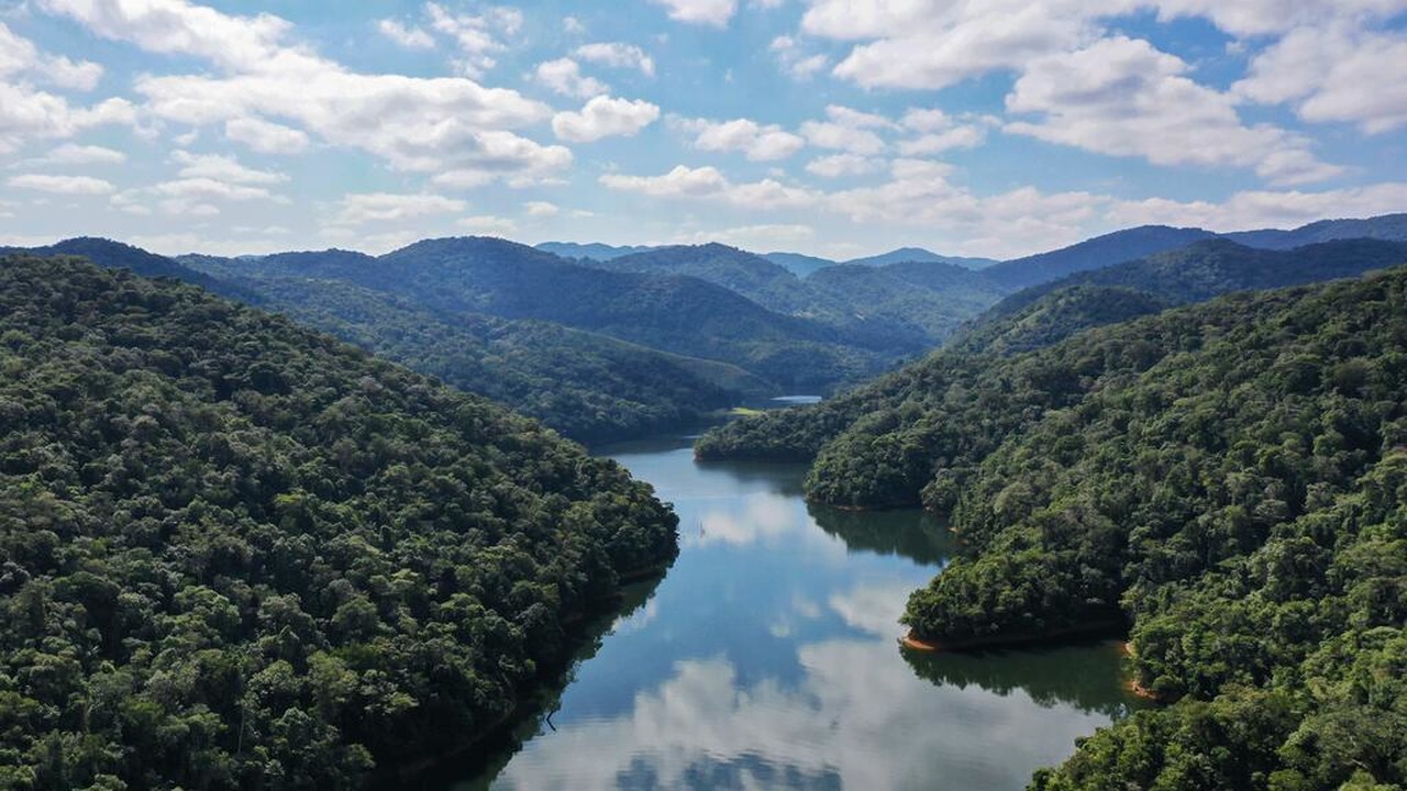 Pousada Salve Floresta