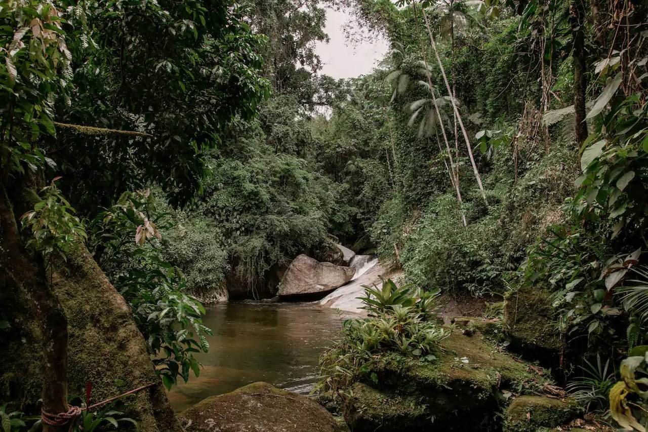 Swin Under a Private Waterfall