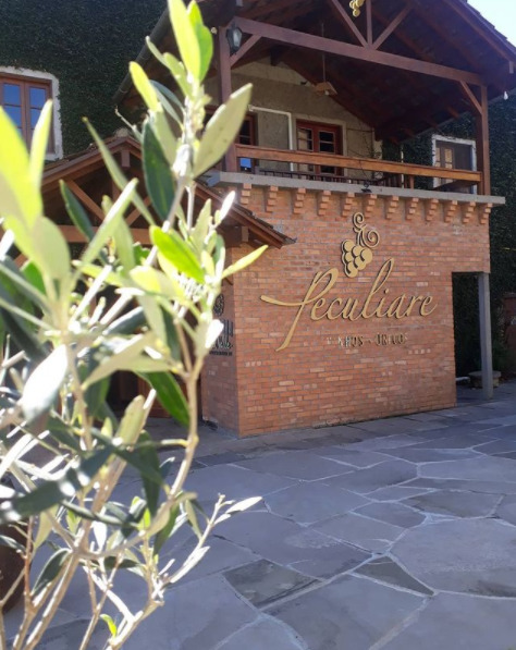 Hotéis Vinícolas no Brasil no Sudeste e Sul