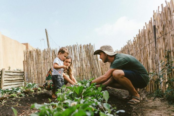 hotéis de natureza com atividades para crianças em portugal