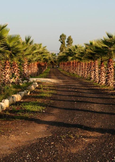 melhores hotéis-fazenda em siracusa