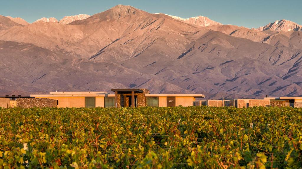 Hotel vinícola aos pés da Cordilheira dos Andes hotéis em mendoza