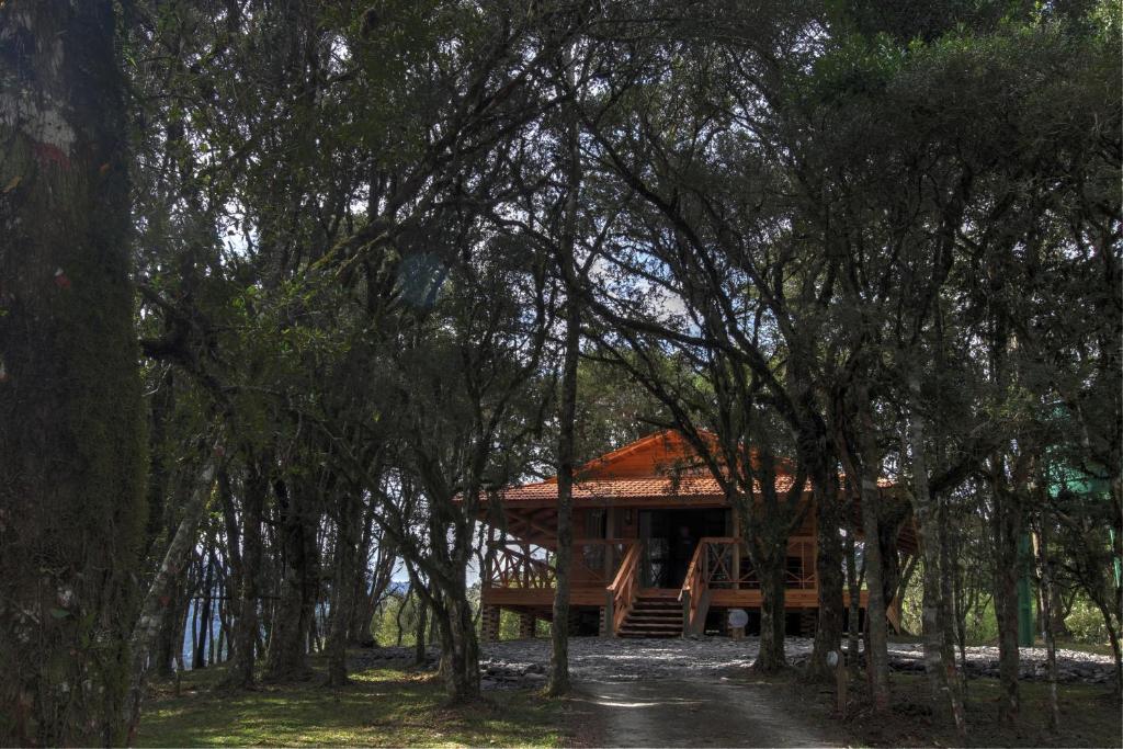 Cabanas e Chalés na Serra Catarinense