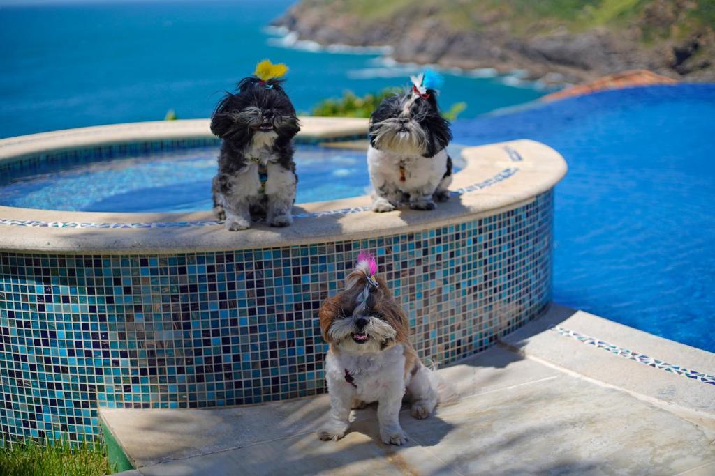 Cliffside Luxury Inn hotel pet friendly em Buzios.