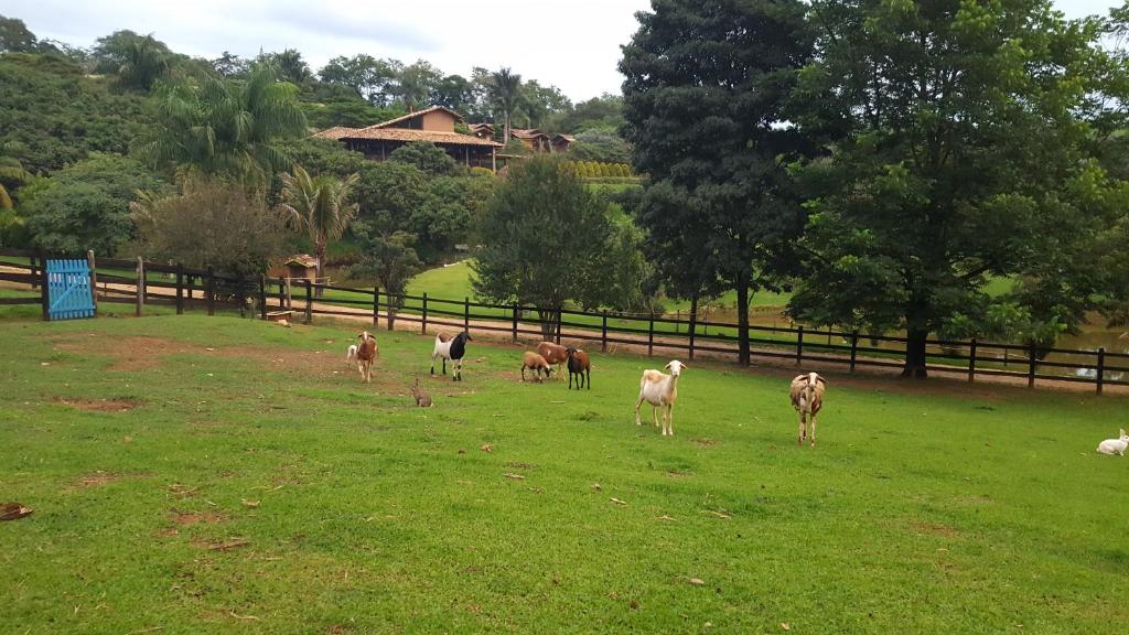 Pousada rural para a família no interior de SP.