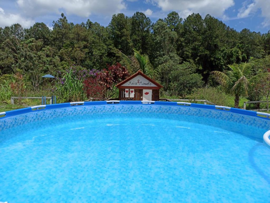 Visual de uma piscina com muitas árvores ao fundo.