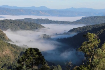 Cabanas e Chalés na Serra Catarinense