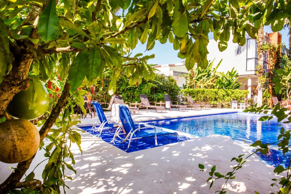 Vista do jardim com piscina ao ar livre e espreguiçadeiras em pousadas perto da praia da baleia.