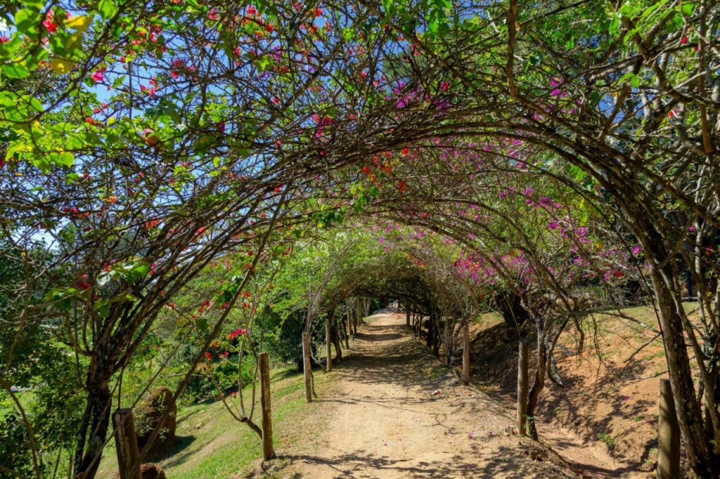 Pousadas em São Lourenço