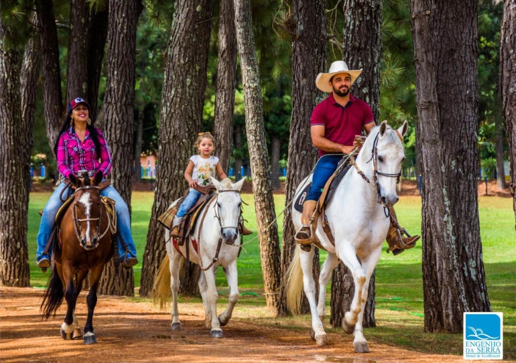 Pousadas para famílias com crianças em Capitólio