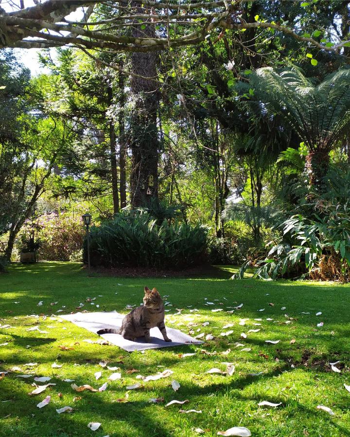 pet friendly em Gramado