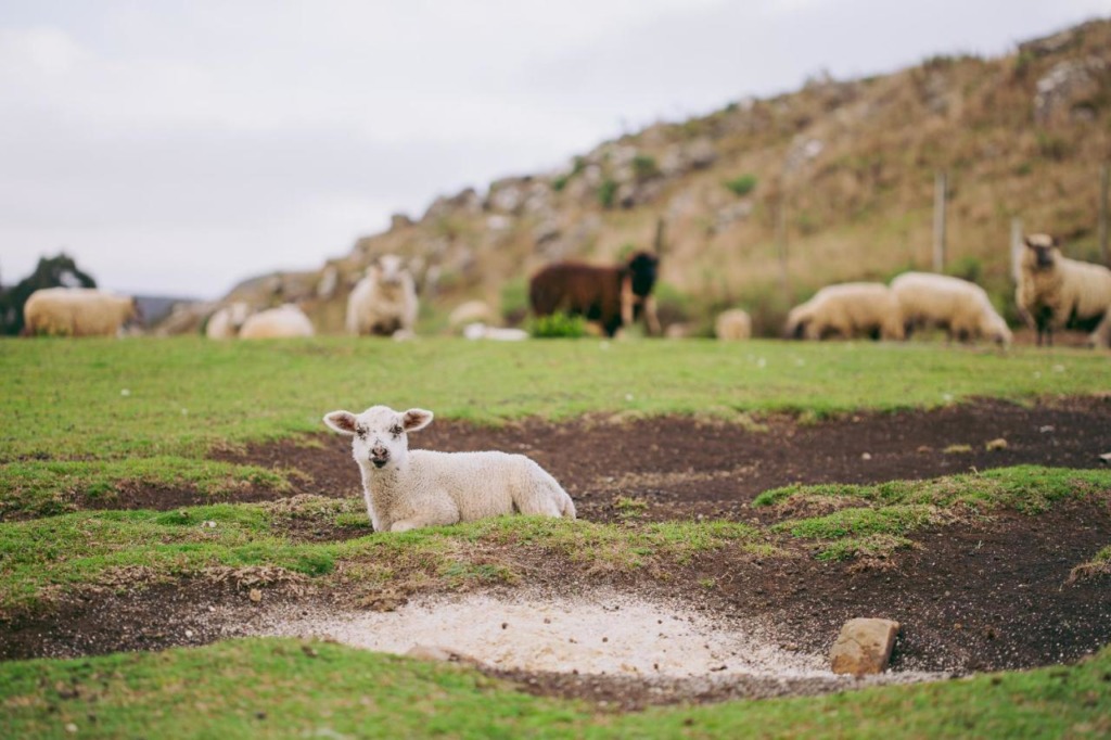 Hotéis fazenda em Santa Catarina