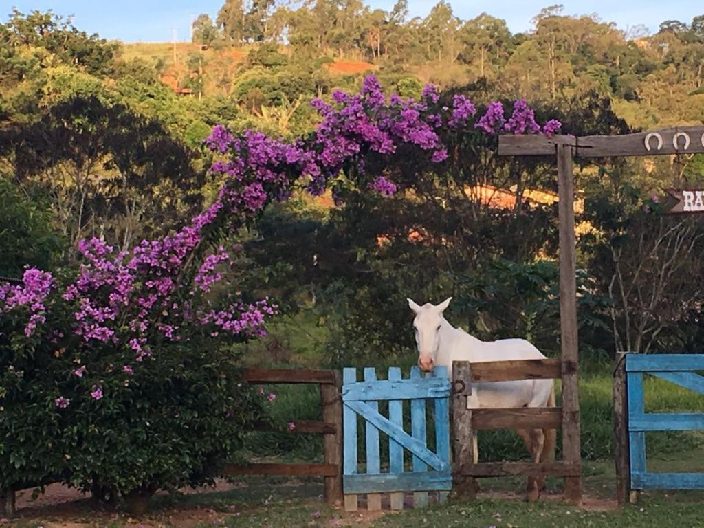 Hotéis fazenda em Serra Negra