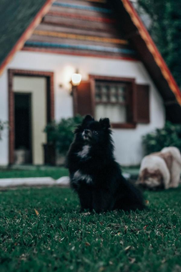 Cabanas que aceitam pets em Goiânia