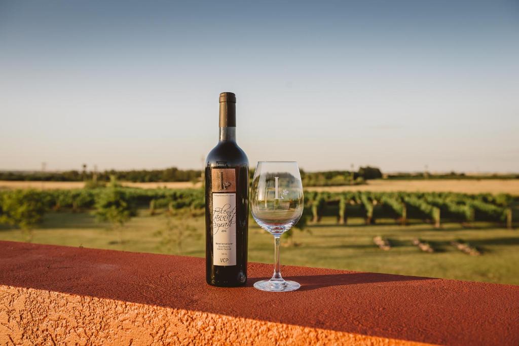 melhores Hotéis vinícolas no Uruguai