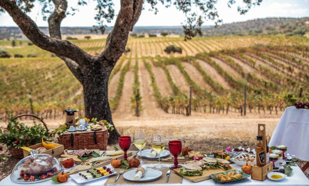 Hotéis vinícolas em Alantejo Portugal