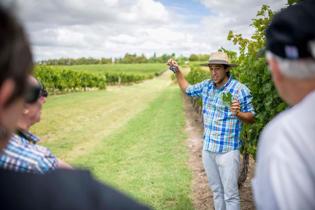 Hotéis vinícolas no Uruguai