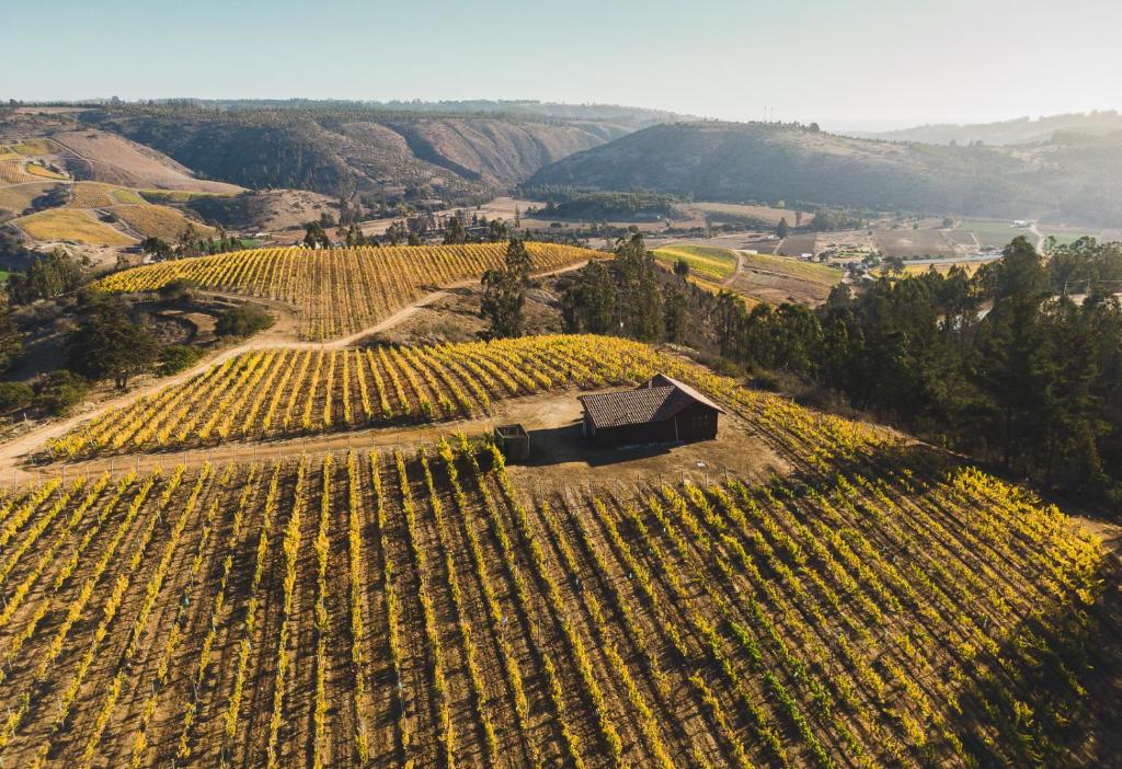 hotéis com degustação de vinho no chile
