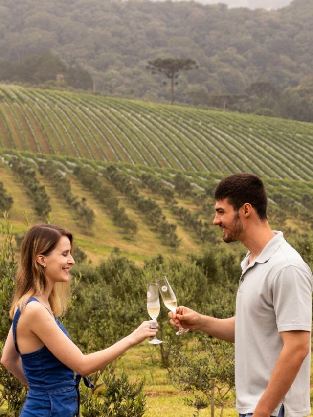 cropped-Hotel-Vinicola-Davo-ROMANTICOS.jpg