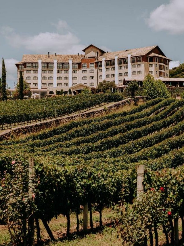 Hotel & Spa do Vinho, Autograph Collection