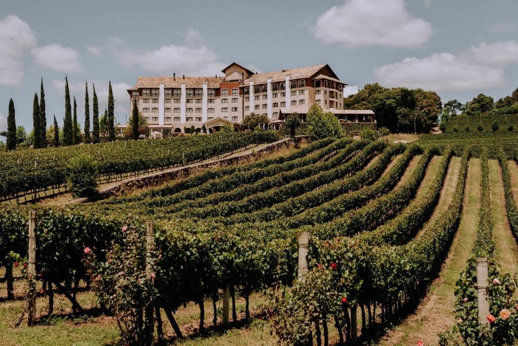 hotéis vinicolas no rio grande do sul