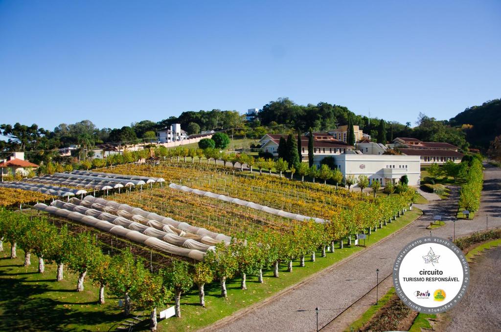 hotéis vinícolas no Rio Grande do Sul