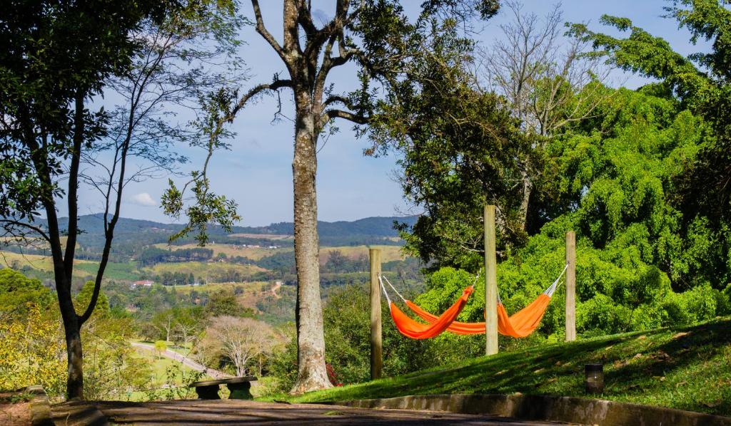 Hotéis em São Roque na Rota do Vinho