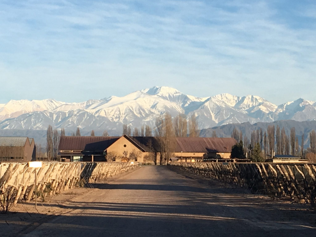 Hotéis vinícolas em Mendoza