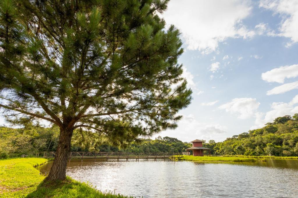 Hotéis fazenda perto de Curitiba para famílias e casais