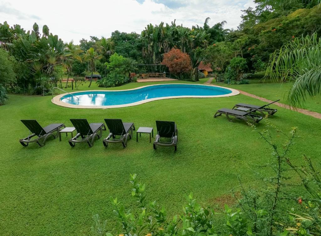 Pousadas que aceitam cachorro perto de SP para viajar sem preocupação