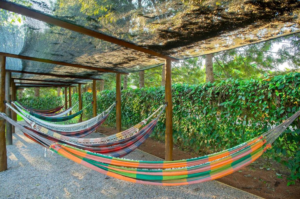 Pousadas que aceitam cachorro perto de SP para viajar sem preocupação