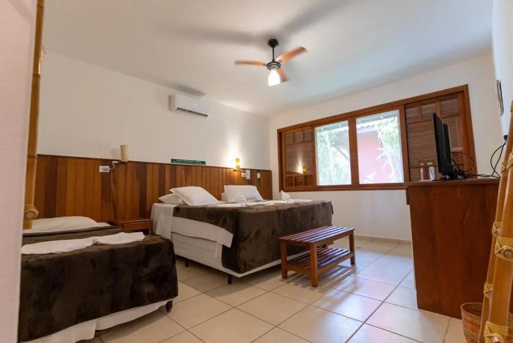 Pousadas que aceitam cachorro perto de SP para viajar sem preocupação