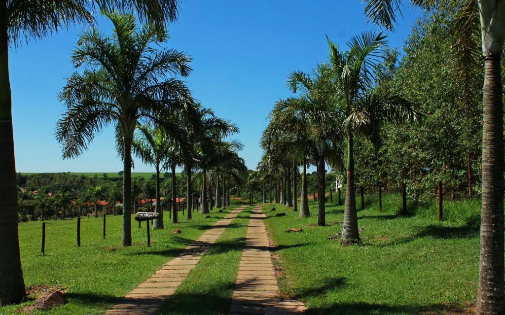 Pousadas que aceitam cachorro perto de SP para viajar sem preocupação