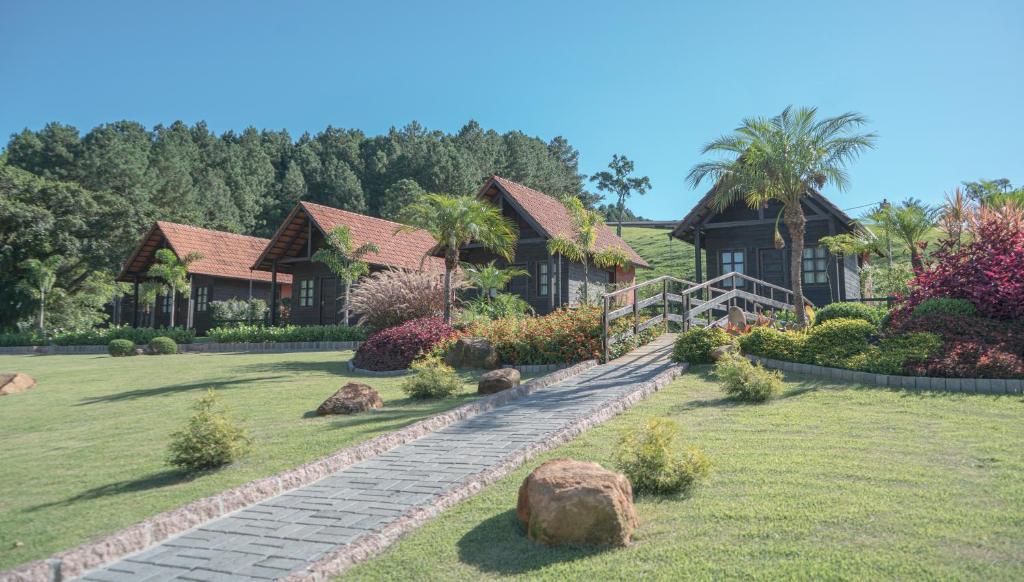 Pousadas pet-friendly em Santa Catarina para viajar com seu pet