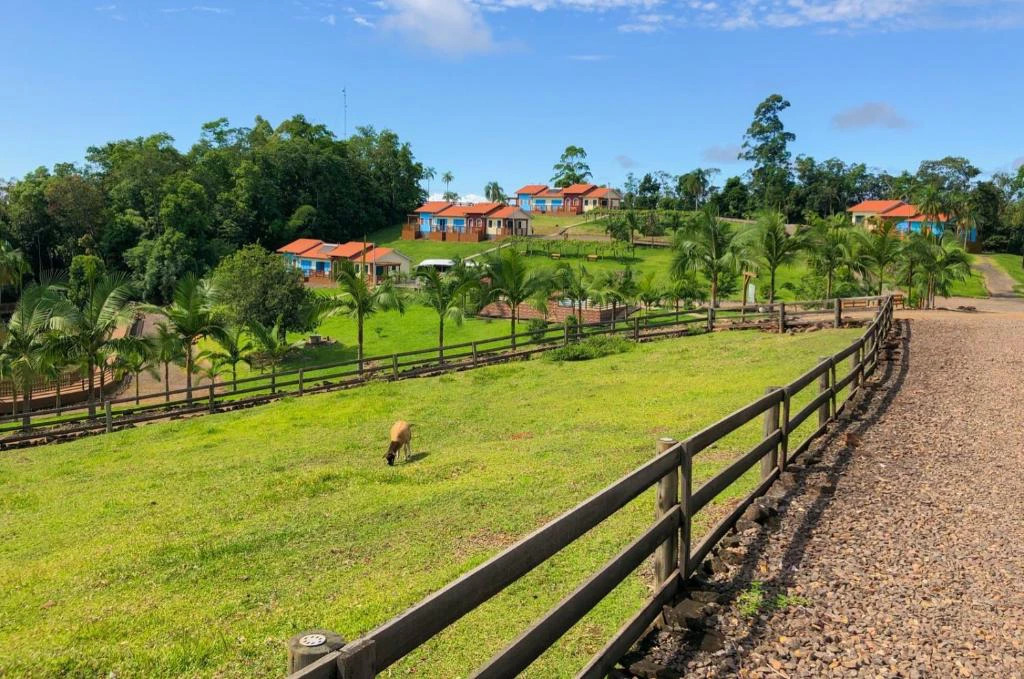 Pousadas pet-friendly em Santa Catarina para viajar com seu pet