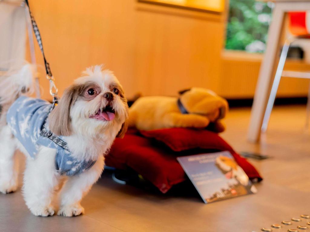 Hotéis baratos nos Jardins - Opções econômicas para ficar bem localizado