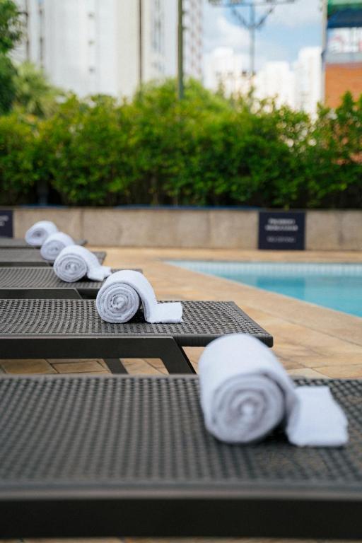 Os melhores hotéis pet friendly em SP para viajar com animais