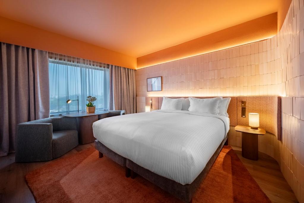 Os melhores hotéis pet friendly em SP para viajar com animais